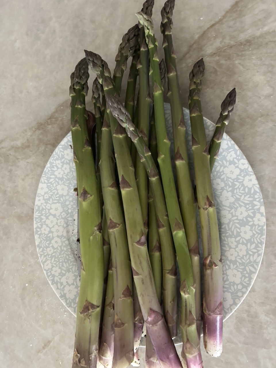 Alt Text: a sample asperagus harvest.  A nunmber of long thick asperagus stalks.  3rd year of planting from bare root.